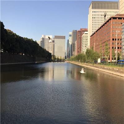 宝威体育下载手机版